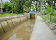 P3-TGAI Bantu Petani, Infrastruktur Irigasi Makin Baik