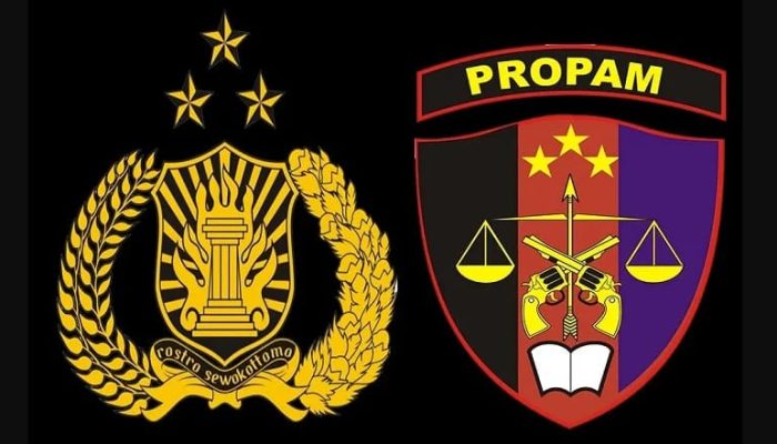 Soal Kasus PT Assa Auto Service, Kuasa Hukum Datuk Samsiwir Laporkan Penyidik Propam Polda Riau Ini ke Mabes Polri