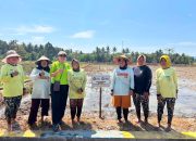 Tingkatkan Produktivitas Petani, NHM Peduli Dukung Program Padi Modern PM-ASS di Kao Barat