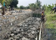 Diduga Ada Ketidaksesuaian Proyek, Pelaksana Rawa Tebas Tegaskan Siap Perbaiki Jika Terbukti Melanggar Kontrak